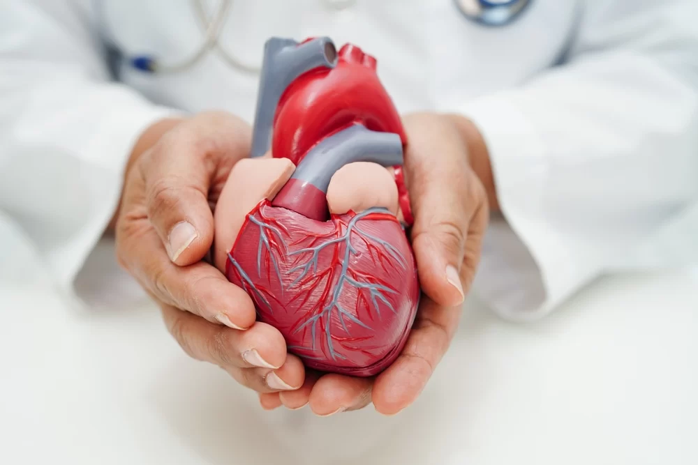 How Cardiologists Help Patients with Congenital Heart Defects: Comprehensive Care and Treatment