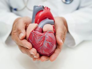 How Cardiologists Help Patients with Congenital Heart Defects: Comprehensive Care and Treatment