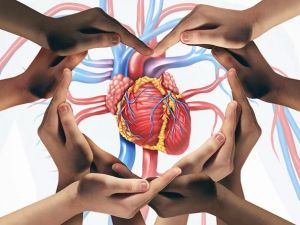 How Your Heart Health Can Impact Your Longevity: Key Insights for a Longer Life