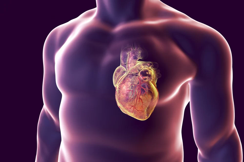 How to Protect Your Heart Health through Healthy Living: Simple Tips for a Stronger Heart