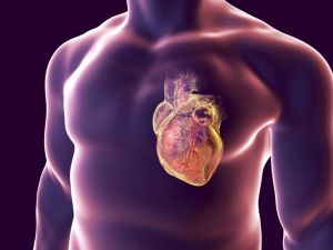 How to Protect Your Heart Health through Healthy Living: Simple Tips for a Stronger Heart