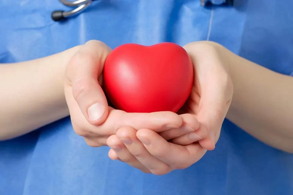 How to Find the Best Cardiology Specialists for Heart Health Check-ups