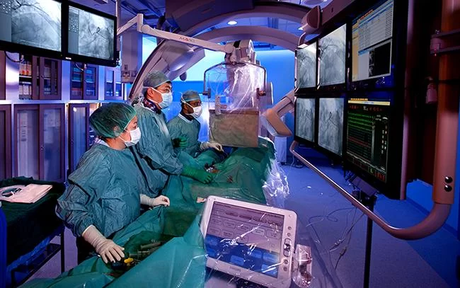 How to Find a Heart Specialist for Heart Disease Prevention and Education