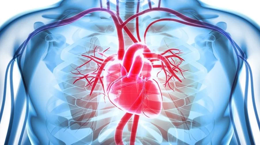 How to Recognize the Early Symptoms of Heart Disease – A Guide to Early Detection