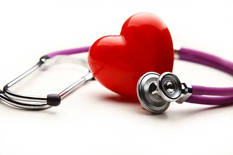 The Importance of Regular Heart Health Screenings for Adults