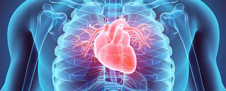 How Cardiologists Treat Heart Valve Disease: Comprehensive Treatment Options