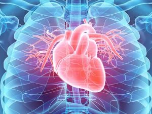 How Cardiologists Treat Heart Valve Disease: Comprehensive Treatment Options