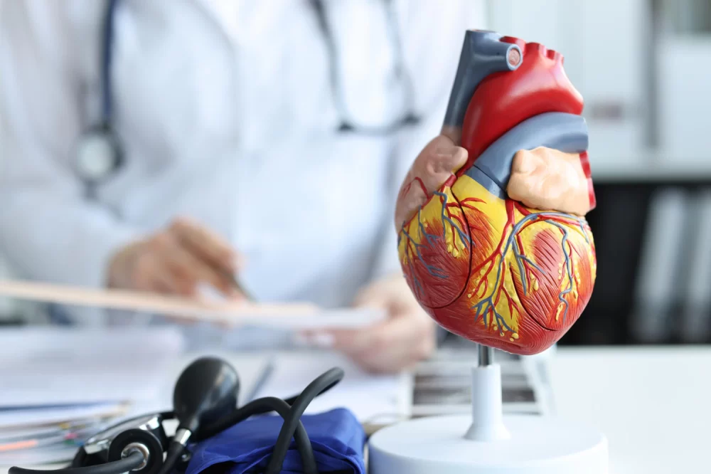 How Cardiologists Help Manage Cardiac Risk Factors for Better Heart Health