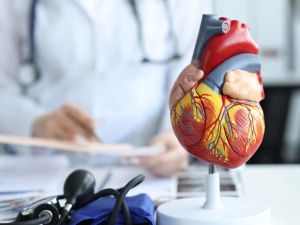 How Cardiologists Help Manage Cardiac Risk Factors for Better Heart Health