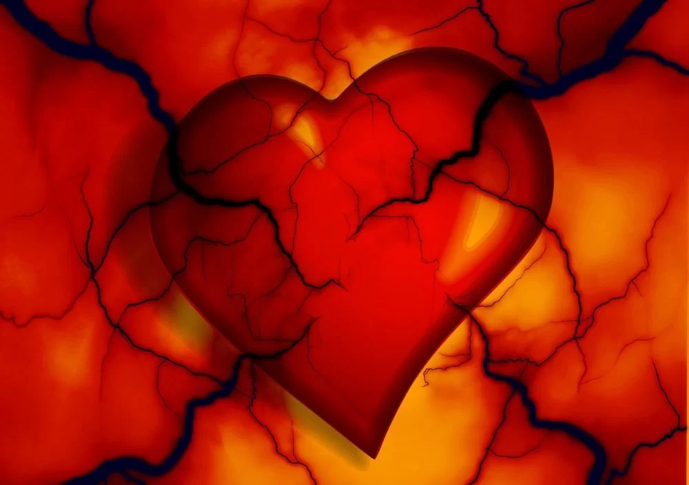 The Truth About Cholesterol and Heart Disease: What You Need to Know for Better Heart Health