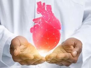 How to Find a Heart Specialist Who Offers Personalized Treatment Plans