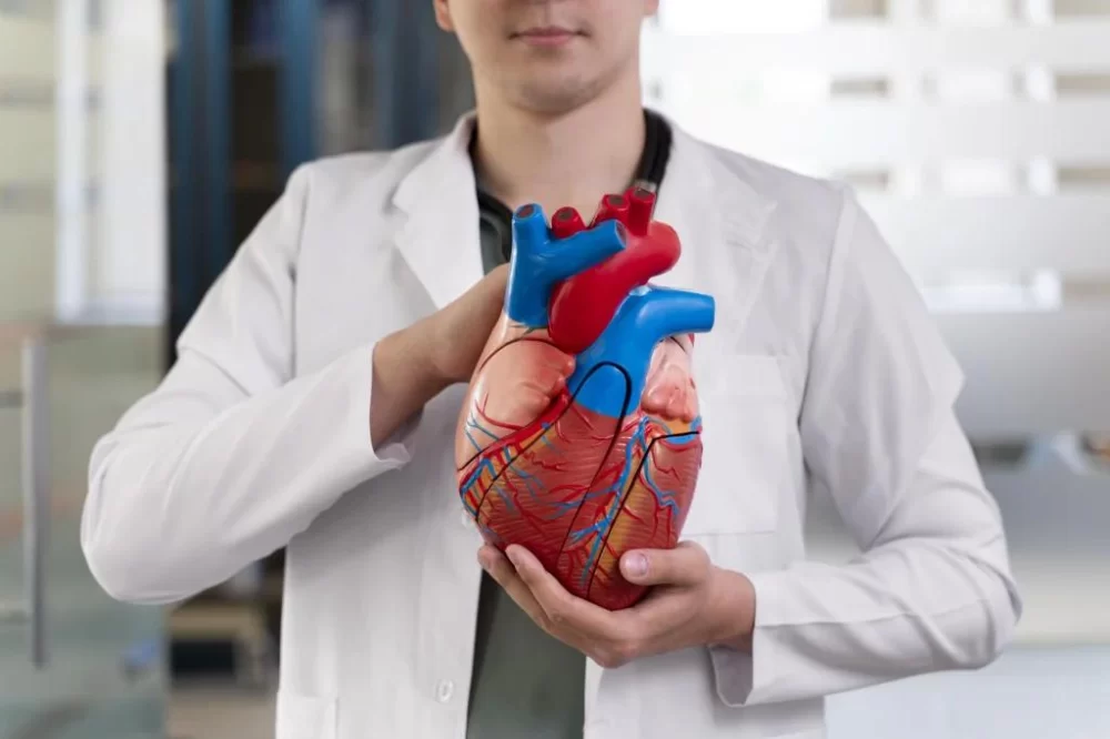 Best Cardiologists Near Me Who Specialize in Preventive Heart Care
