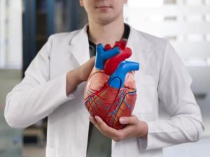 Best Cardiologists Near Me Who Specialize in Preventive Heart Care