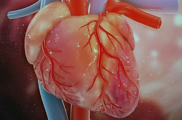 Finding the Best Heart Specialists for Managing Heart Arrhythmias
