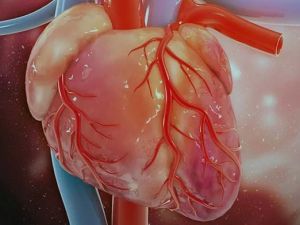 Finding the Best Heart Specialists for Managing Heart Arrhythmias