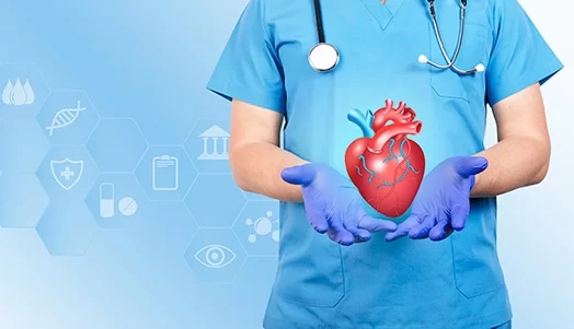 How to Find the Best Heart Care Specialists for Seniors