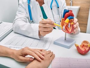 Heart Health Assessments with Top Cardiologists: Essential for Your Wellness