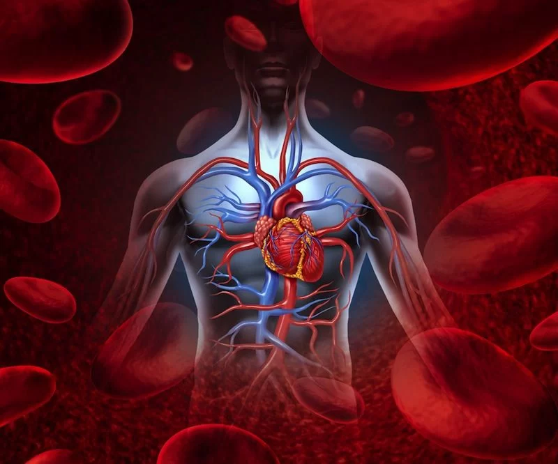Effective Ways to Improve Blood Circulation Naturally