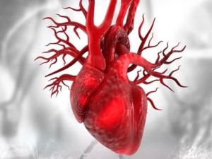 How to Prevent Heart Disease Through Simple Lifestyle Changes