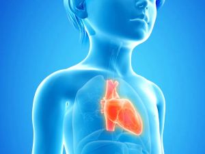 How Heart Disease is Diagnosed and Treated in Children