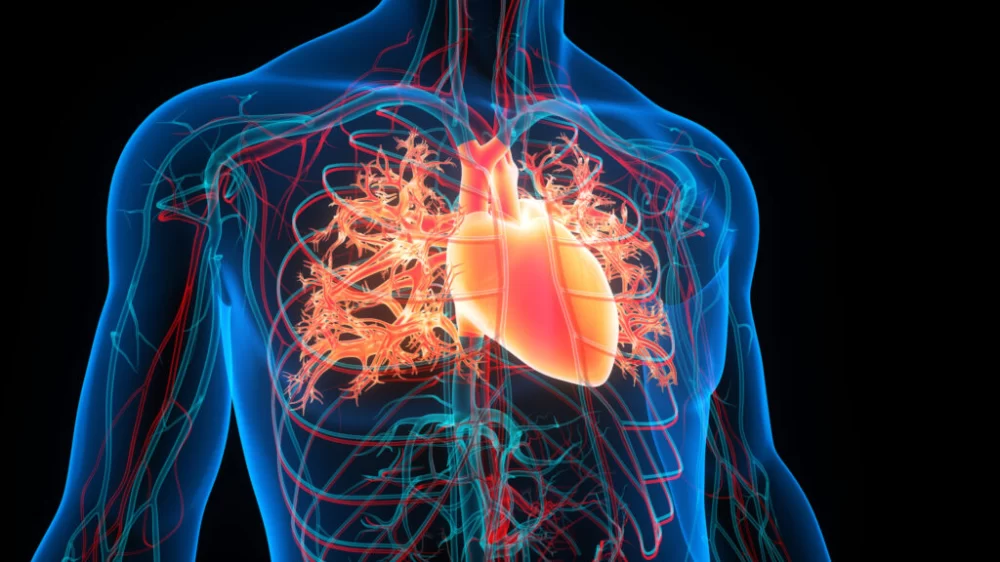 How to Recognize the Signs of Congestive Heart Failure