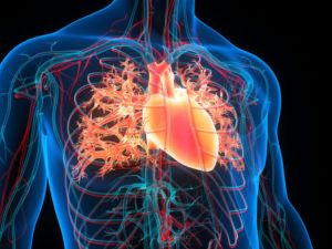 How to Recognize the Signs of Congestive Heart Failure