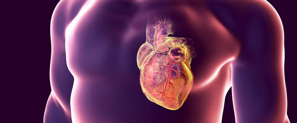 Exploring Alternative Therapies for Heart Disease: A Holistic Approach to Heart Health