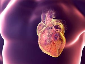 Exploring Alternative Therapies for Heart Disease: A Holistic Approach to Heart Health