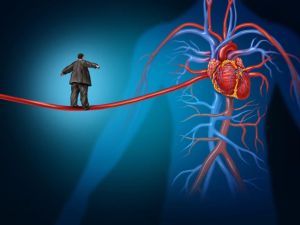 The Link Between Obesity and Heart Disease Risk: Understanding the Impact
