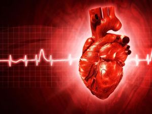 How to Prepare for a Heart Disease Diagnosis