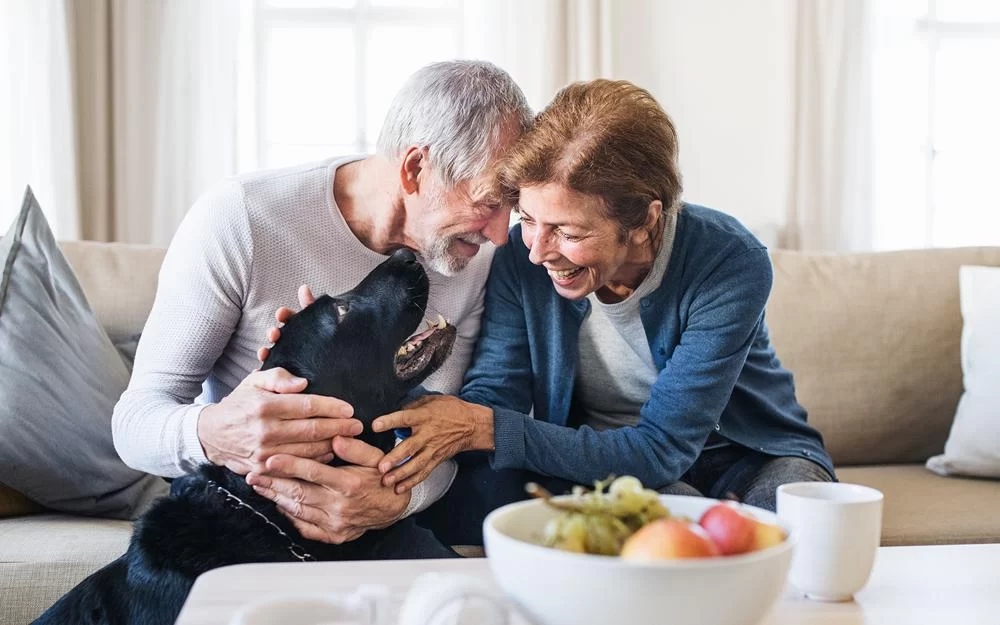 Effective Coping Strategies for Heart Disease Patients in the US