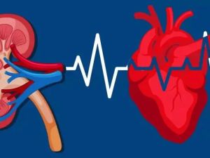 The Connection Between Kidney Disease and Heart Health: What You Need to Know