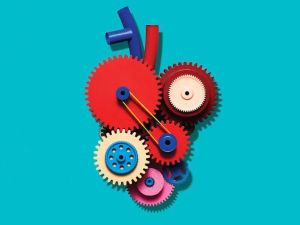 Understanding Your Risk for Heart Disease as You Age: A Comprehensive Guide