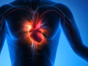 Heart Disease in People with Autoimmune Disorders: Understanding the Risks and Implications