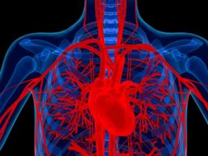 How to Effectively Prepare for Heart Disease Treatment Options