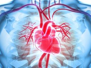 How to Cope with a Loved One’s Heart Disease Diagnosis