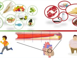 The Role of a Healthy Diet in Managing Heart Disease: Key Insights and Tips
