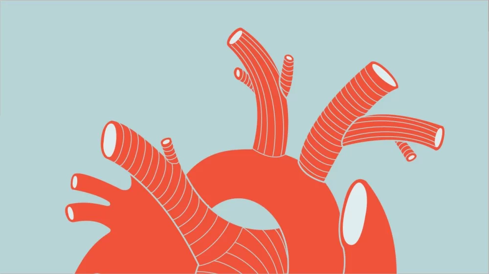 How Heart Disease Affects Physical Activity Levels and What You Can Do About It