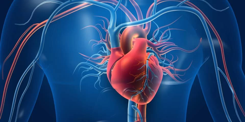 The Benefits of Regular Heart Health Checkups: Protect Your Heart with Routine Exams
