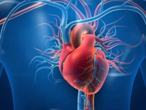 The Benefits of Regular Heart Health Checkups: Protect Your Heart with Routine Exams