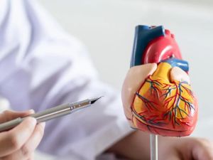 Understanding How Genetics Influence Heart Disease Risk