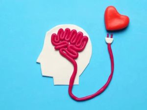 The Connection Between Mental Health and Heart Disease