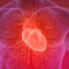 Exploring Holistic Approaches to Heart Disease Management