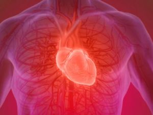 Exploring Holistic Approaches to Heart Disease Management