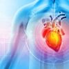 How Family History Affects Heart Disease Risk: Understanding the Impact