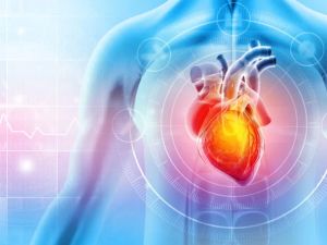 How Family History Affects Heart Disease Risk: Understanding the Impact