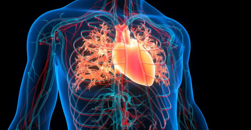 Understanding the Different Types of Heart Disease: Causes, Symptoms, and Prevention