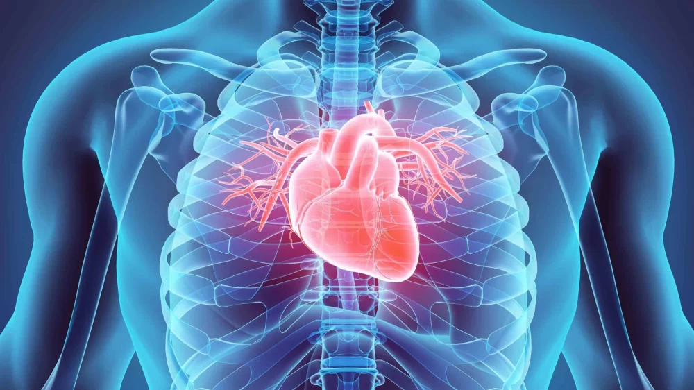 Heart Disease and Its Connection to Sleep Disorders: Understanding the Link