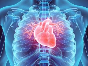 Heart Disease and Its Connection to Sleep Disorders: Understanding the Link