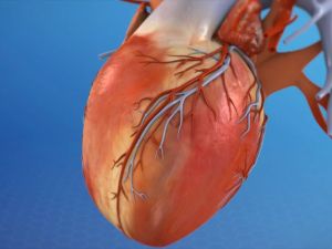 Understanding Heart Valve Diseases and Their Impact on Your Health